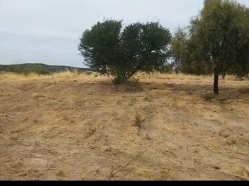 VENDO PARCELA 5.000 MTS2 EN REGIÓN MAULE - COMUNA EL RETIRO