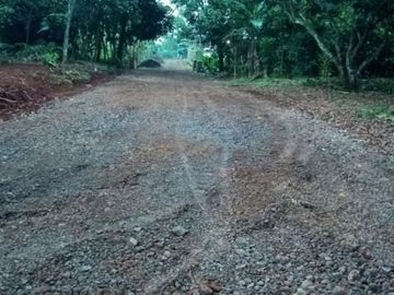 Investasi Tanah Kavling Serbaguna untuk Alternatif Wisata Keluarga di Bogor