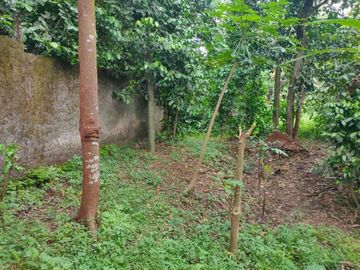 Tanah Murah Lokasi Strategis Sudah SHM di Rawa Lumbu Bekasi