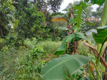 Tanah Murah Lokasi Strategis Sudah SHM di Rawa Lumbu Bekasi