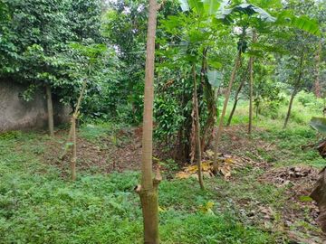 Tanah Murah Lokasi Strategis Sudah SHM di Rawa Lumbu Bekasi