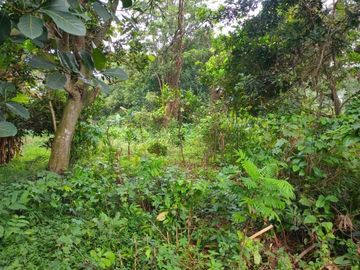 Tanah Murah Lokasi Strategis Sudah SHM di Rawa Lumbu Bekasi