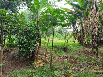 Tanah Murah Lokasi Strategis Sudah SHM di Rawa Lumbu Bekasi