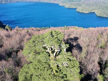 Parcela en Venta en Puerto Fuy