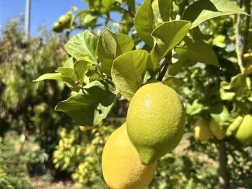 Hermosa parcela en venta en La Serena