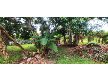 Venta de casa campestre de 1900 M2 en 729 mill en La Mesa Cund.