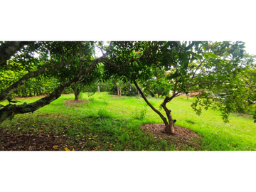 Venta de casa campestre de 1900 M2 en 729 mill en La Mesa Cund.