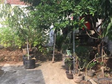 Rumah siap huni kondisi bagus dijual di Borobudur Timur Manyaran