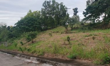 157 Sqm Subdivision Lot for Sale in Vista Grande Talisay Cebu City near the clubhouse