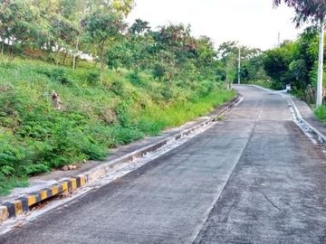 157 Sqm Subdivision Lot for Sale in Vista Grande Talisay Cebu City near the clubhouse