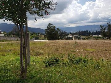 VENDO TERRENO DE 3.8 HECTAREAS EN PUEMBO - IDEAL PARA PROYECTO INMOBILIARIO