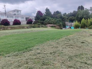VENDO TERRENO DE 3.8 HECTAREAS EN PUEMBO - IDEAL PARA PROYECTO INMOBILIARIO