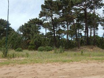 EXCELENTE LOTE EN ALAMOS II (LOTE 5 - MANZANA 239) SOBRE CALLE DE LA CALANDRIA