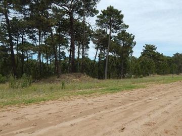 EXCELENTE LOTE EN ALAMOS II (LOTE 5 - MANZANA 239) SOBRE CALLE DE LA CALANDRIA