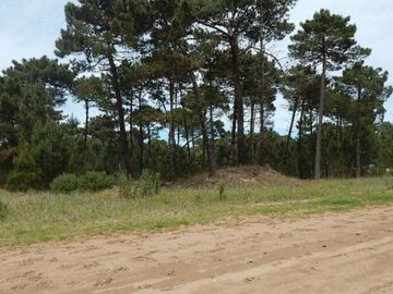 EXCELENTE LOTE EN ALAMOS II (LOTE 5 - MANZANA 239) SOBRE CALLE DE LA CALANDRIA