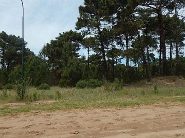 EXCELENTE LOTE EN ALAMOS II (LOTE 5 - MANZANA 239) SOBRE CALLE DE LA CALANDRIA