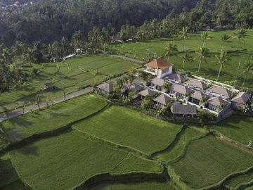 Villa Resort with beautiful rice field views in Ubud