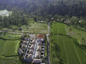 Villa Resort with beautiful rice field views in Ubud