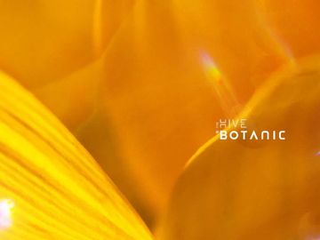 Ruko Hive Botanic Harga Murah Investasi Menguntungkan di Lippo Karawaci