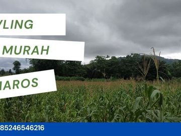 Di Cari Tanah Di Maros Makassar Samping Pesantren, Harga Bubar