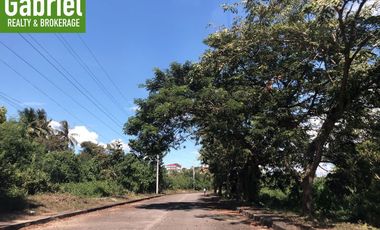 339 sqm Subdivision Lot in Compostela, Summer Hills
