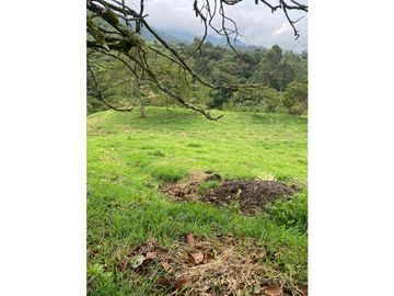 Venta de finca vereda San Juan La Nubia en Salento Quindio