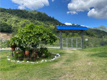 Venta de finca vereda San Juan La Nubia en Salento Quindio