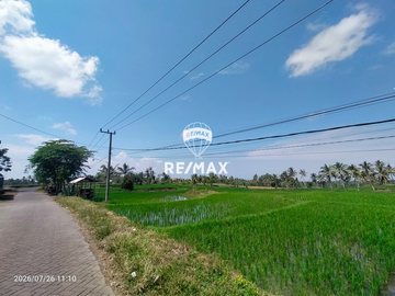 DIJUAL CEPAT!TANAH SAWAH PRODUKTIF – DS.PENDARUNGAN- BANYUWANGI