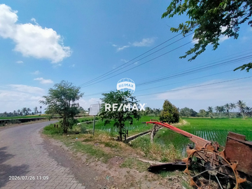 DIJUAL CEPAT!TANAH SAWAH PRODUKTIF – DS.PENDARUNGAN- BANYUWANGI
