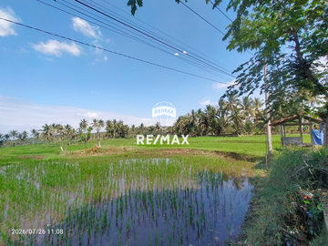DIJUAL CEPAT!TANAH SAWAH PRODUKTIF – DS.PENDARUNGAN- BANYUWANGI