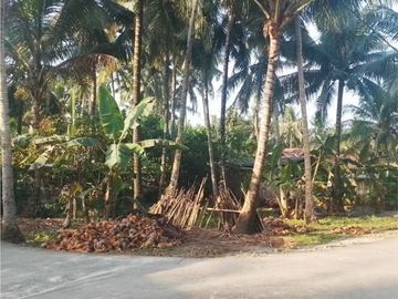 Kavling Homstay Timur Bandara Cocok Hunian Pun Investasi