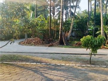 Kavling Homstay Timur Bandara Cocok Hunian Pun Investasi