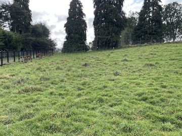 Preciosa Vista a volcanes, Parcela 5000 m2 - Puerto Varas