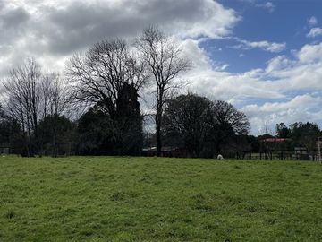 Preciosa Vista a volcanes, Parcela 5000 m2 - Puerto Varas