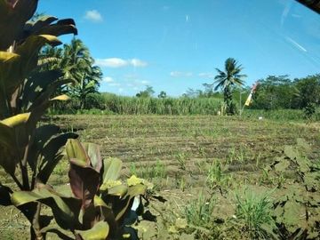 DREAMPROPERTI | Tanah poros di putukrejo gondanglegi malang