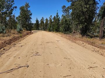 PARCELAS A 35 MIN DE PICHILEMU ROL PROPIO A 10 MIN RUTA I-90