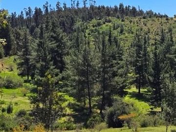 PARCELAS A 35 MIN DE PICHILEMU ROL PROPIO A 10 MIN RUTA I-90