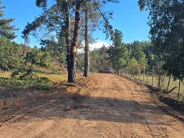 PARCELAS A 35 MIN DE PICHILEMU ROL PROPIO A 10 MIN RUTA I-90