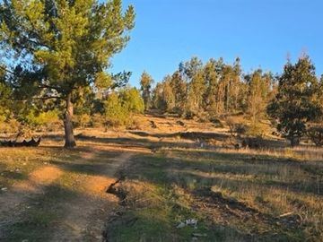PARCELAS A 35 MIN DE PICHILEMU ROL PROPIO A 10 MIN RUTA I-90