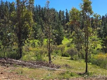 PARCELAS A 35 MIN DE PICHILEMU ROL PROPIO A 10 MIN RUTA I-90