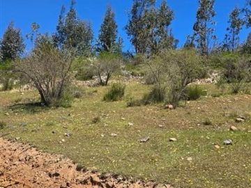 PARCELAS A 35 MIN DE PICHILEMU ROL PROPIO A 10 MIN RUTA I-90