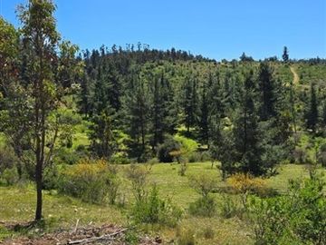PARCELAS A 35 MIN DE PICHILEMU ROL PROPIO A 10 MIN RUTA I-90