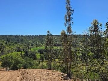 PARCELAS A 35 MIN DE PICHILEMU ROL PROPIO A 10 MIN RUTA I-90