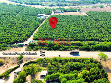 🌱🚜 ¡OPORTUNIDAD ÚNICA PARA INVERSORES Y AGRICULTORES! 🚜🌱

¿Estás buscando la tierra perfecta para expandir tus horizontes agrícolas? ¡No busques más
