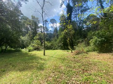TERRENO EN VENTA CIRCUITO AVANDARO