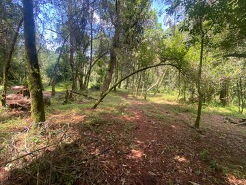 TERRENO EN VENTA CIRCUITO AVANDARO