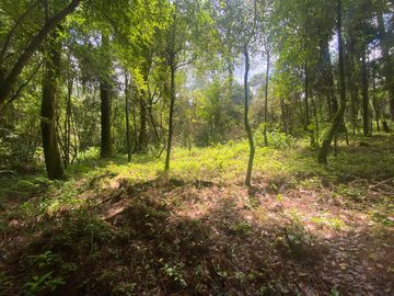 TERRENO EN VENTA CIRCUITO AVANDARO