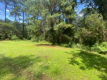 TERRENO EN VENTA CIRCUITO AVANDARO