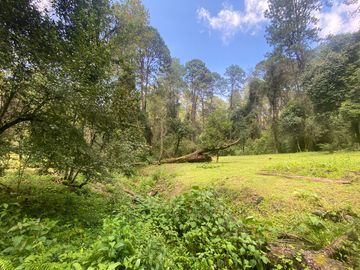 TERRENO EN VENTA CIRCUITO AVANDARO