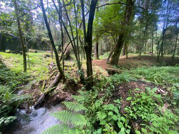 TERRENO EN VENTA CIRCUITO AVANDARO